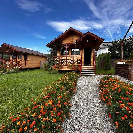 Villa Baltina Parc Transfagarasan Curtea de Argeş Exterior foto