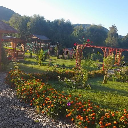 Villa Baltina Parc Transfagarasan Curtea de Argeş Exterior foto
