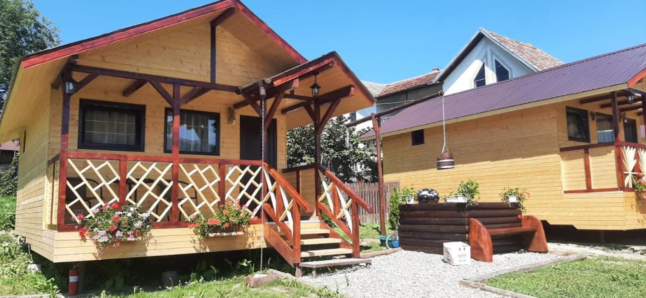 Villa Baltina Parc Transfagarasan Curtea de Argeş Exterior foto