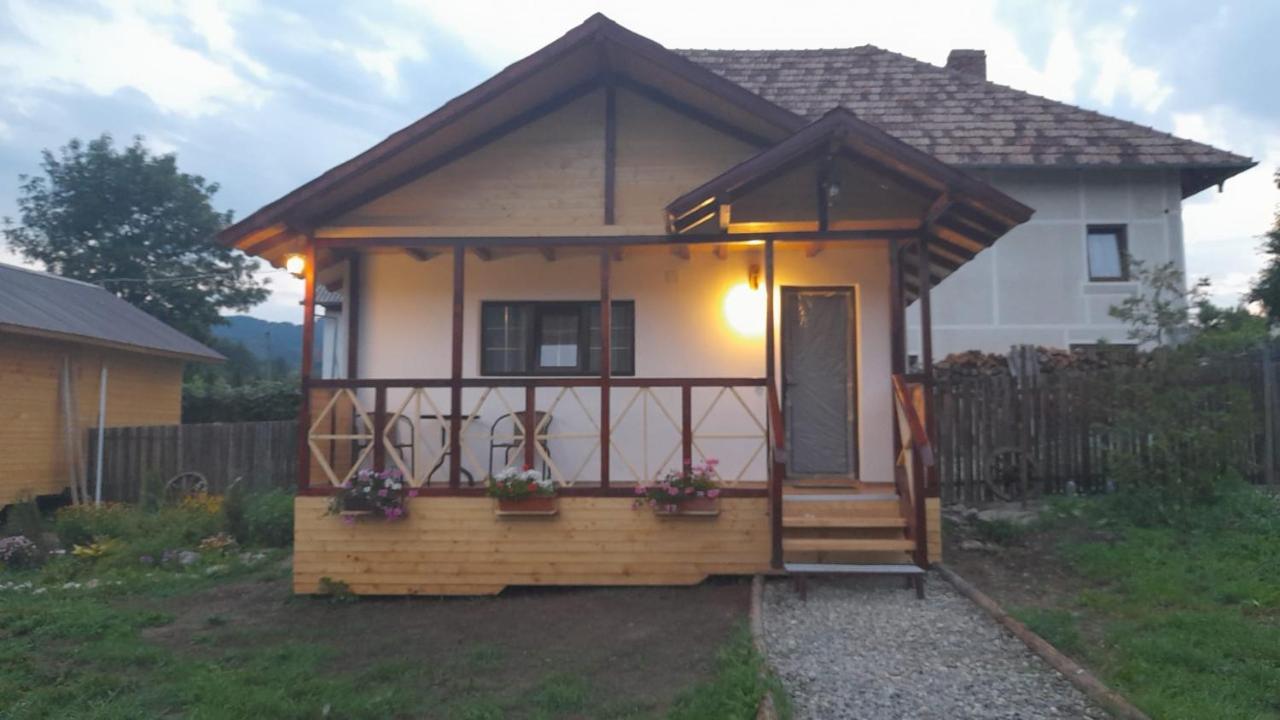 Villa Baltina Parc Transfagarasan Curtea de Argeş Exterior foto