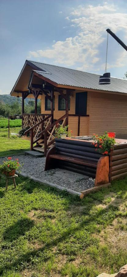 Villa Baltina Parc Transfagarasan Curtea de Argeş Exterior foto
