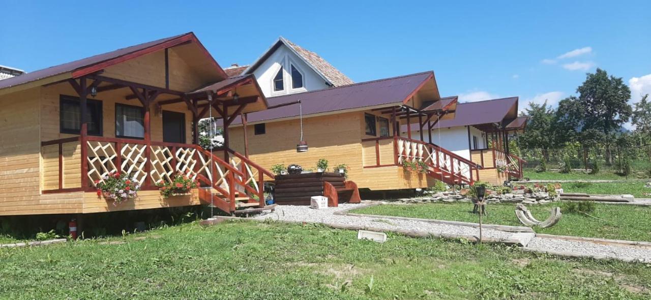 Villa Baltina Parc Transfagarasan Curtea de Argeş Exterior foto