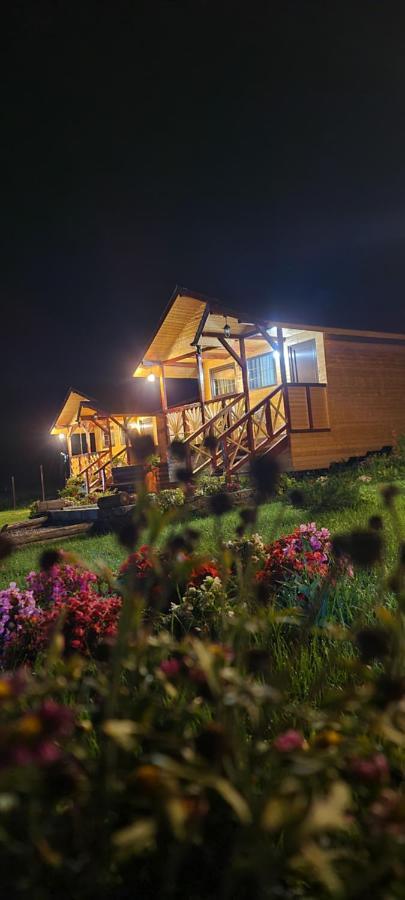 Villa Baltina Parc Transfagarasan Curtea de Argeş Exterior foto