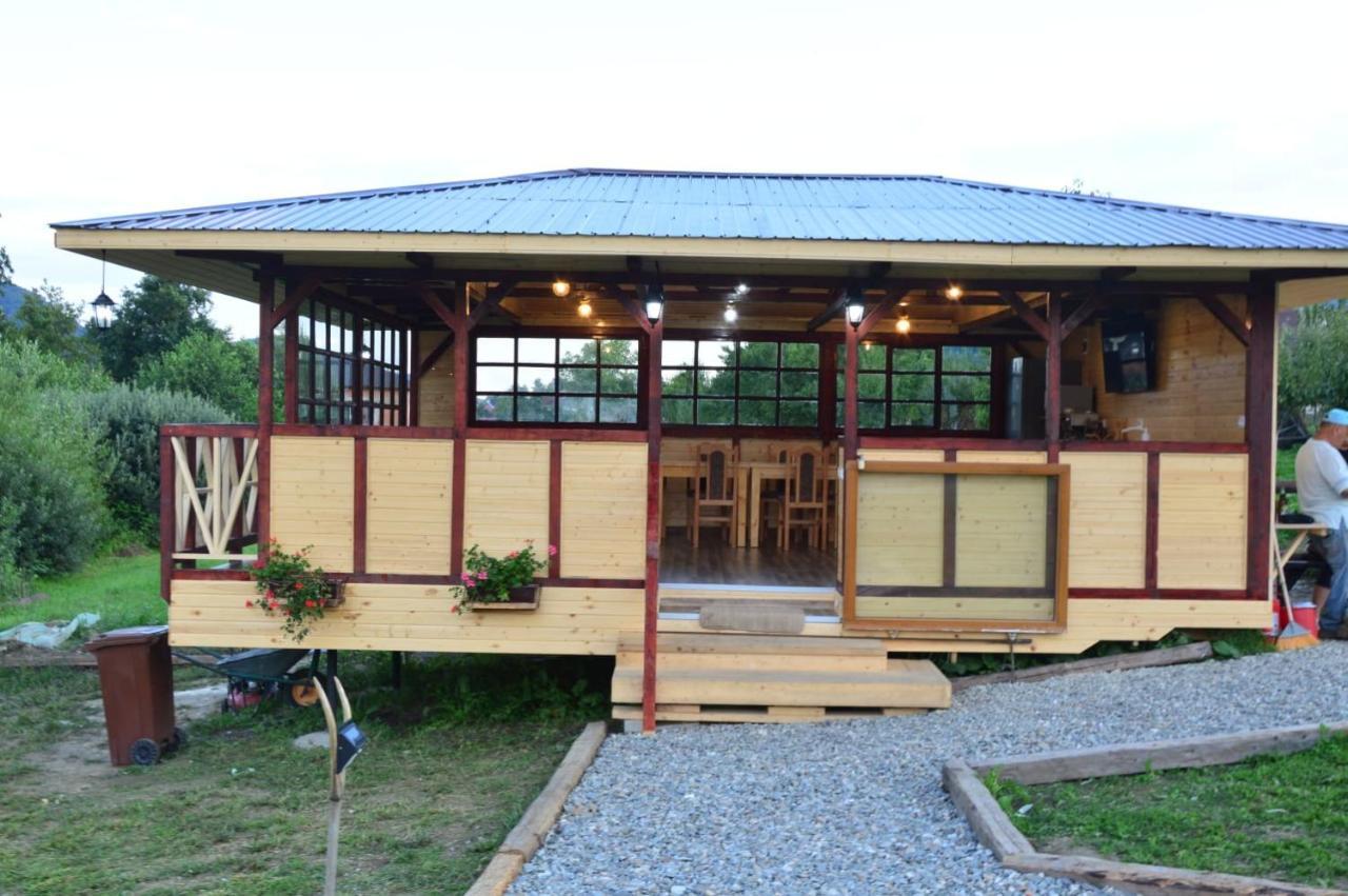 Villa Baltina Parc Transfagarasan Curtea de Argeş Exterior foto