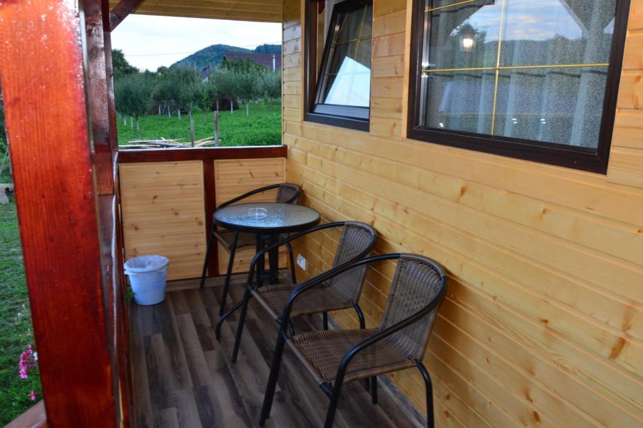 Villa Baltina Parc Transfagarasan Curtea de Argeş Exterior foto