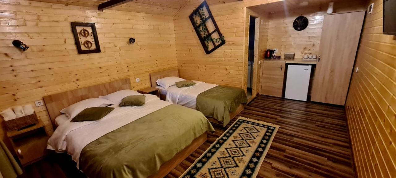 Villa Baltina Parc Transfagarasan Curtea de Argeş Exterior foto