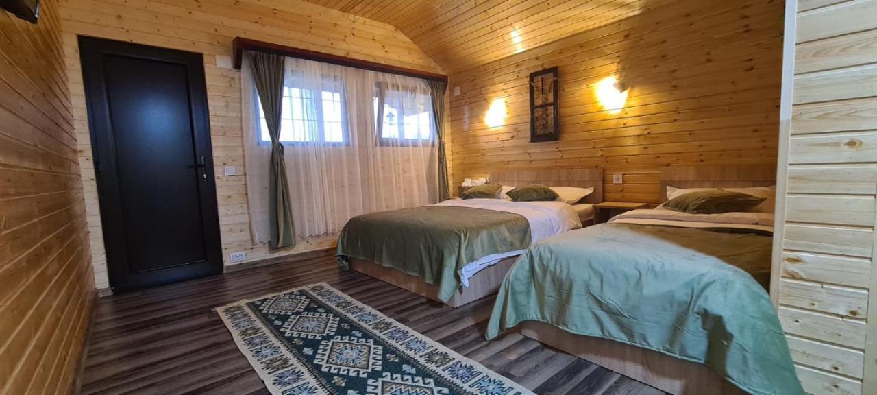 Villa Baltina Parc Transfagarasan Curtea de Argeş Exterior foto