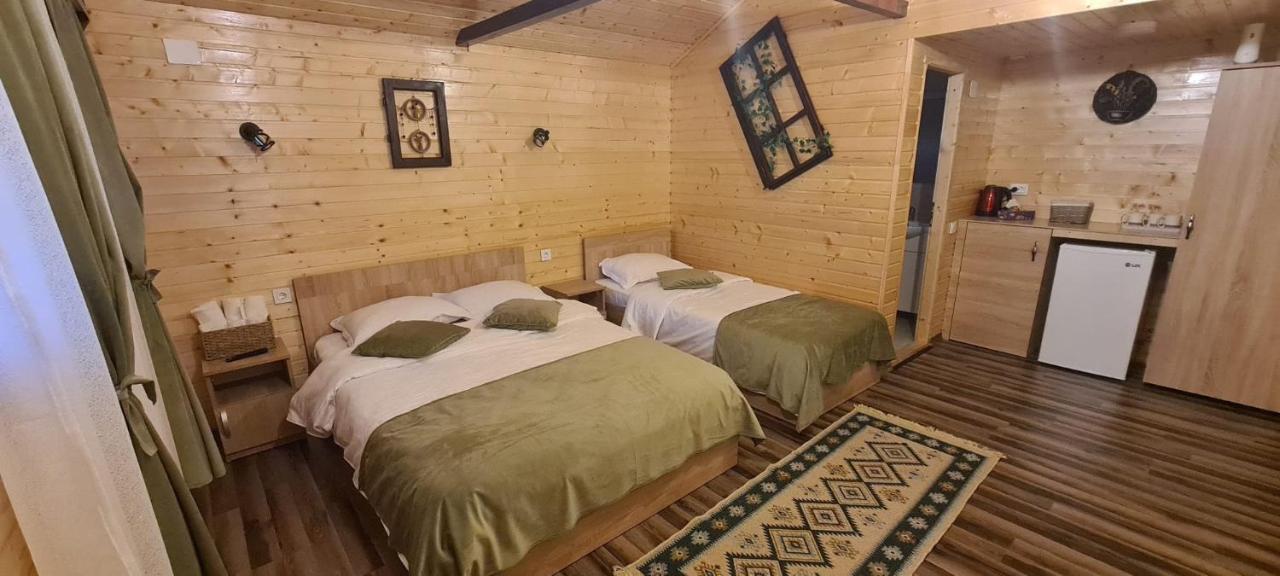 Villa Baltina Parc Transfagarasan Curtea de Argeş Exterior foto