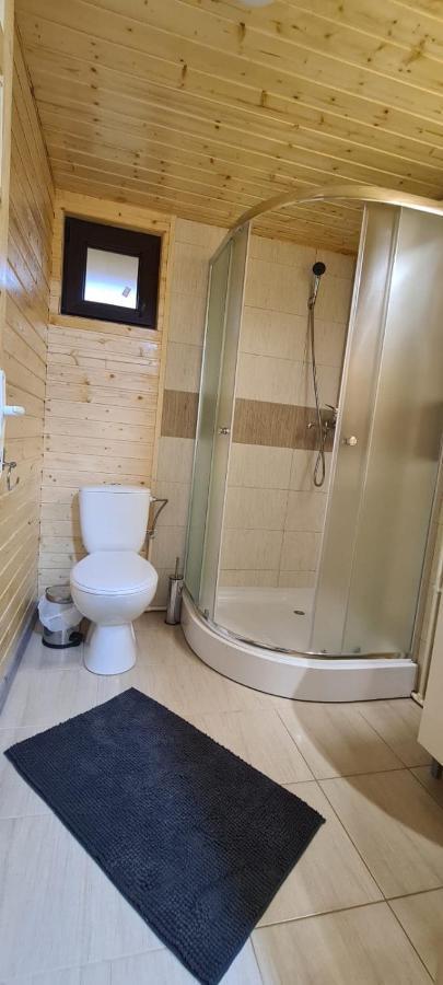 Villa Baltina Parc Transfagarasan Curtea de Argeş Exterior foto