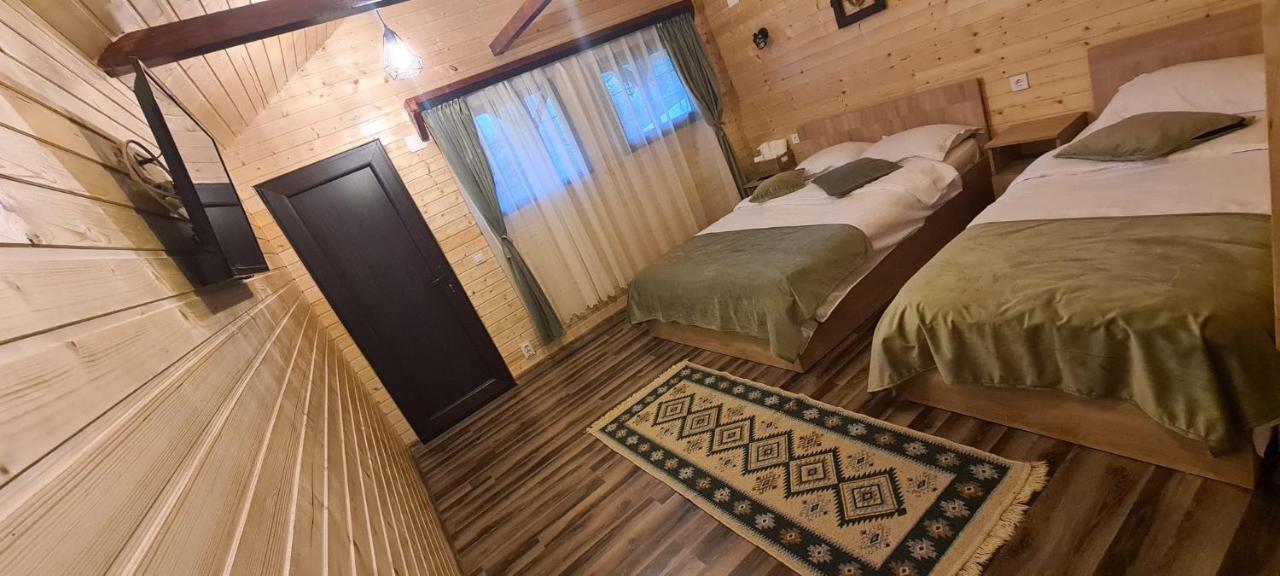 Villa Baltina Parc Transfagarasan Curtea de Argeş Exterior foto