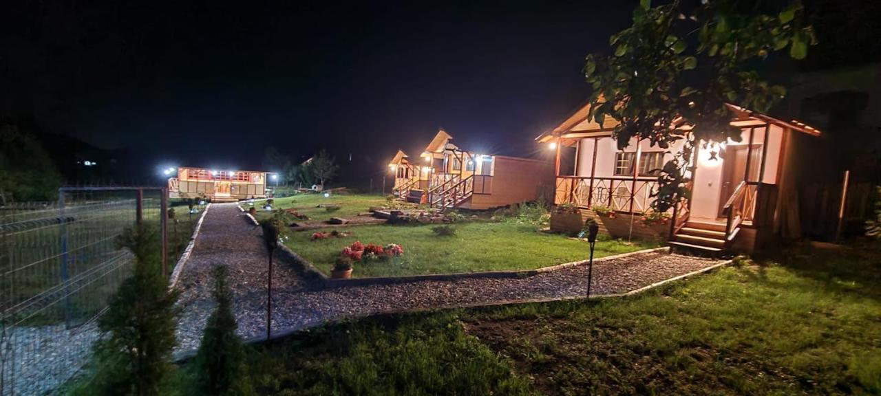 Villa Baltina Parc Transfagarasan Curtea de Argeş Exterior foto