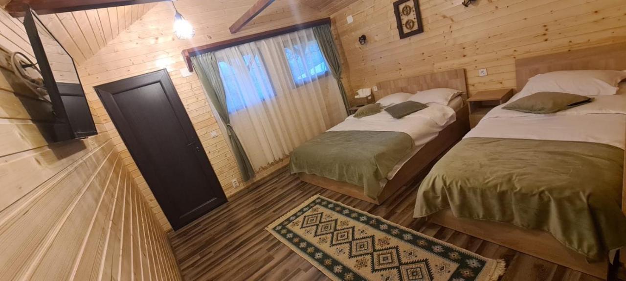 Villa Baltina Parc Transfagarasan Curtea de Argeş Exterior foto