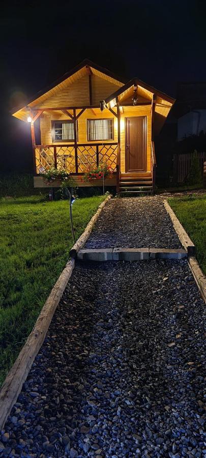 Villa Baltina Parc Transfagarasan Curtea de Argeş Exterior foto
