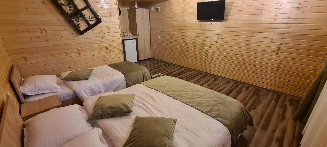 Villa Baltina Parc Transfagarasan Curtea de Argeş Exterior foto