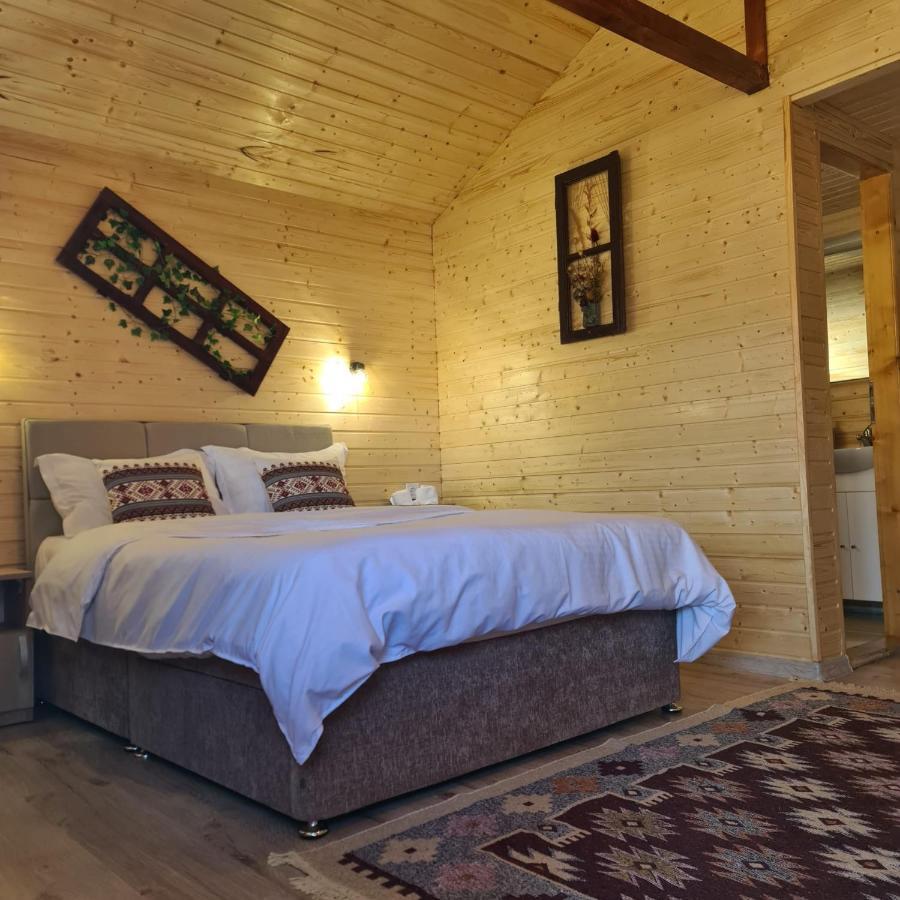 Villa Baltina Parc Transfagarasan Curtea de Argeş Exterior foto