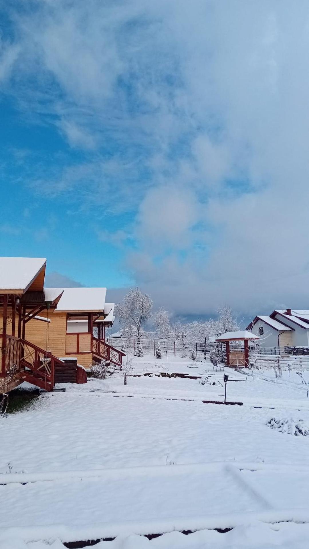 Villa Baltina Parc Transfagarasan Curtea de Argeş Exterior foto