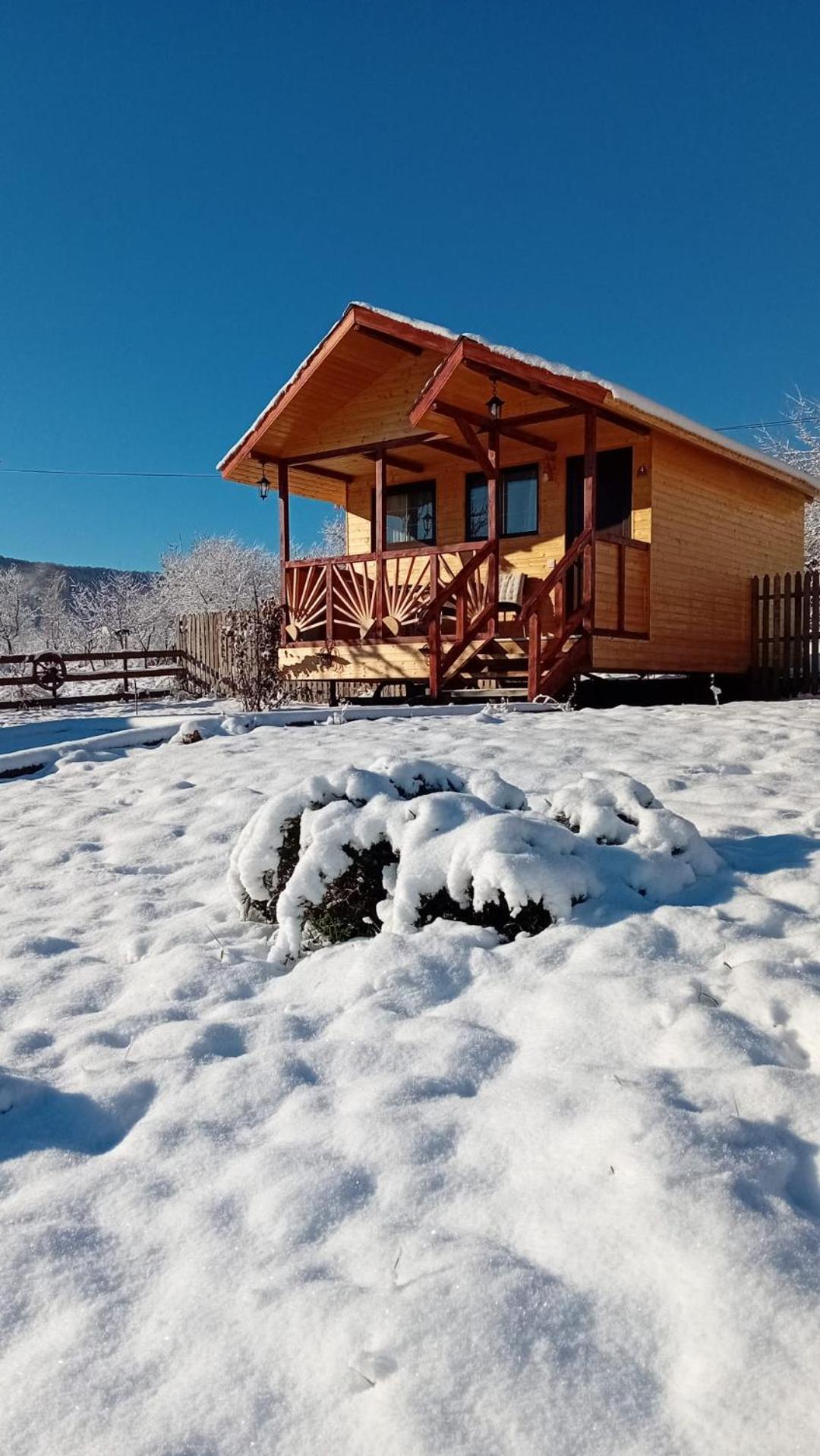 Villa Baltina Parc Transfagarasan Curtea de Argeş Exterior foto
