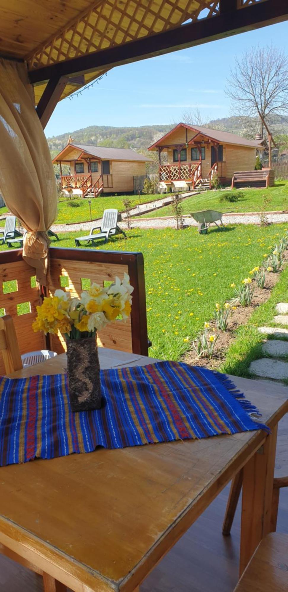 Villa Baltina Parc Transfagarasan Curtea de Argeş Exterior foto