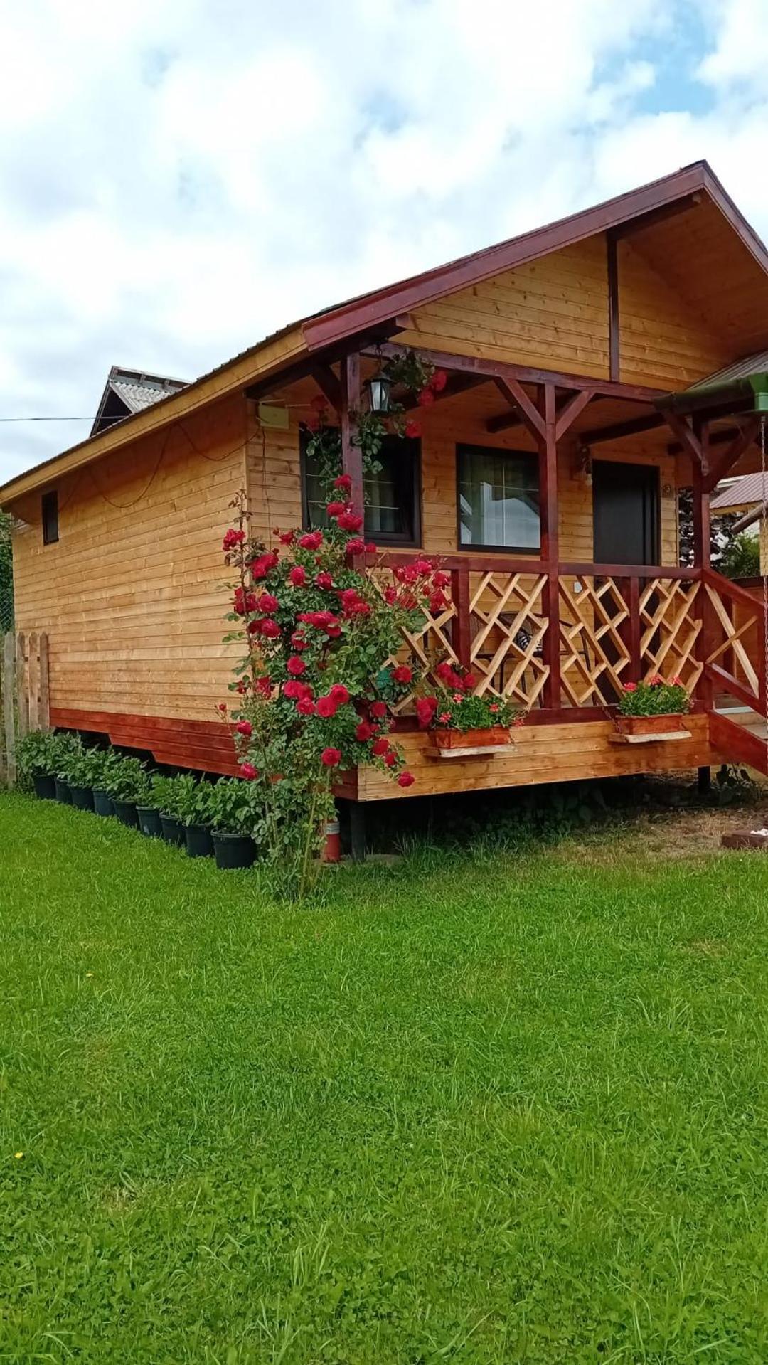 Villa Baltina Parc Transfagarasan Curtea de Argeş Exterior foto