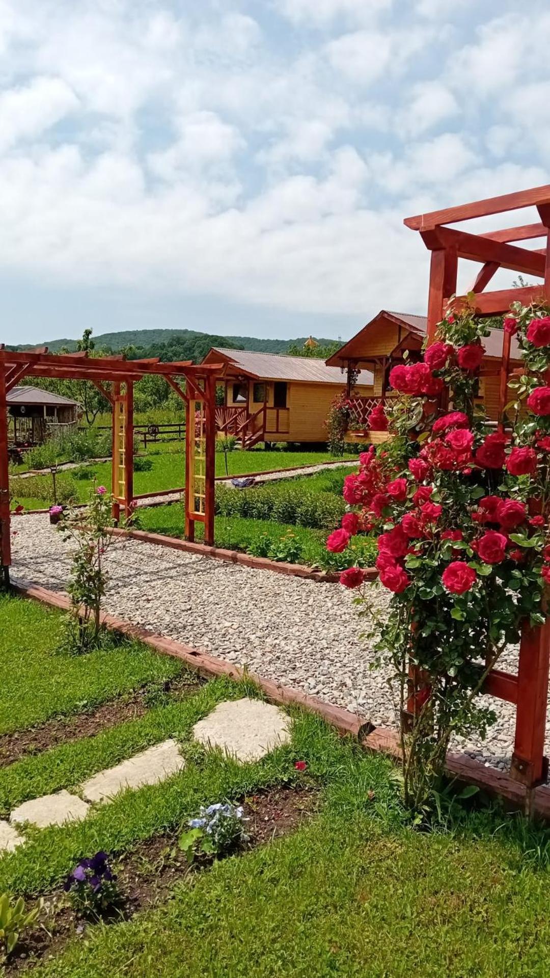 Villa Baltina Parc Transfagarasan Curtea de Argeş Exterior foto