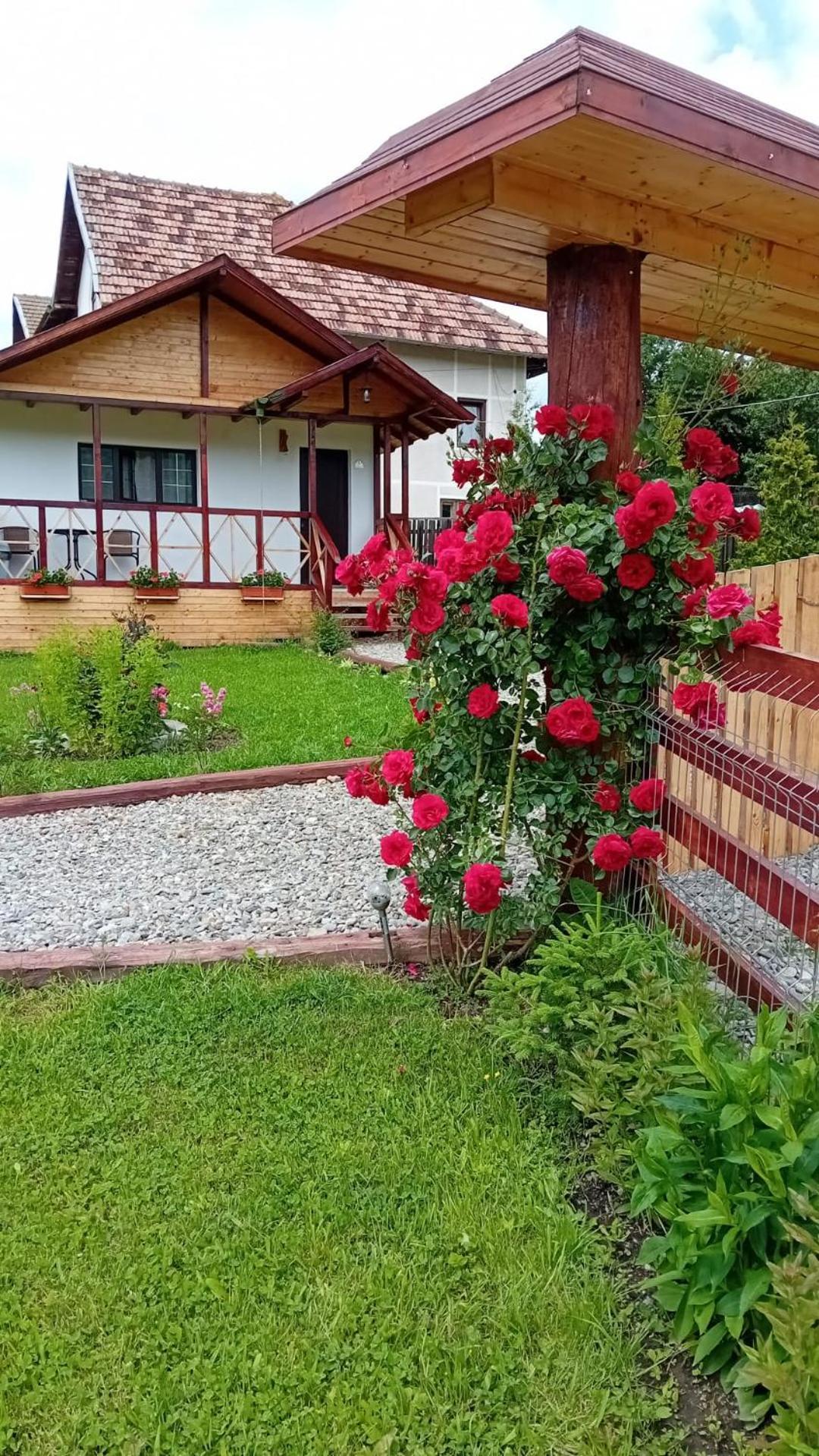 Villa Baltina Parc Transfagarasan Curtea de Argeş Exterior foto