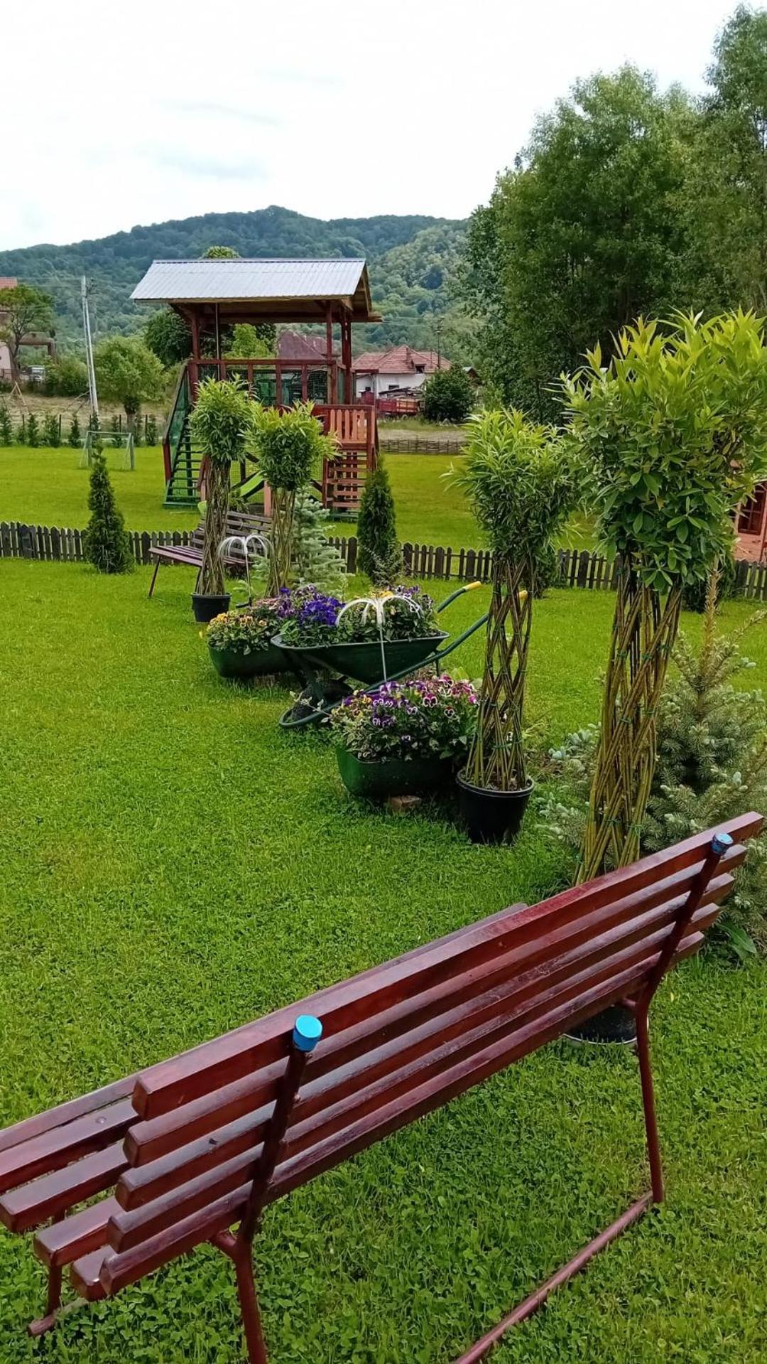 Villa Baltina Parc Transfagarasan Curtea de Argeş Exterior foto