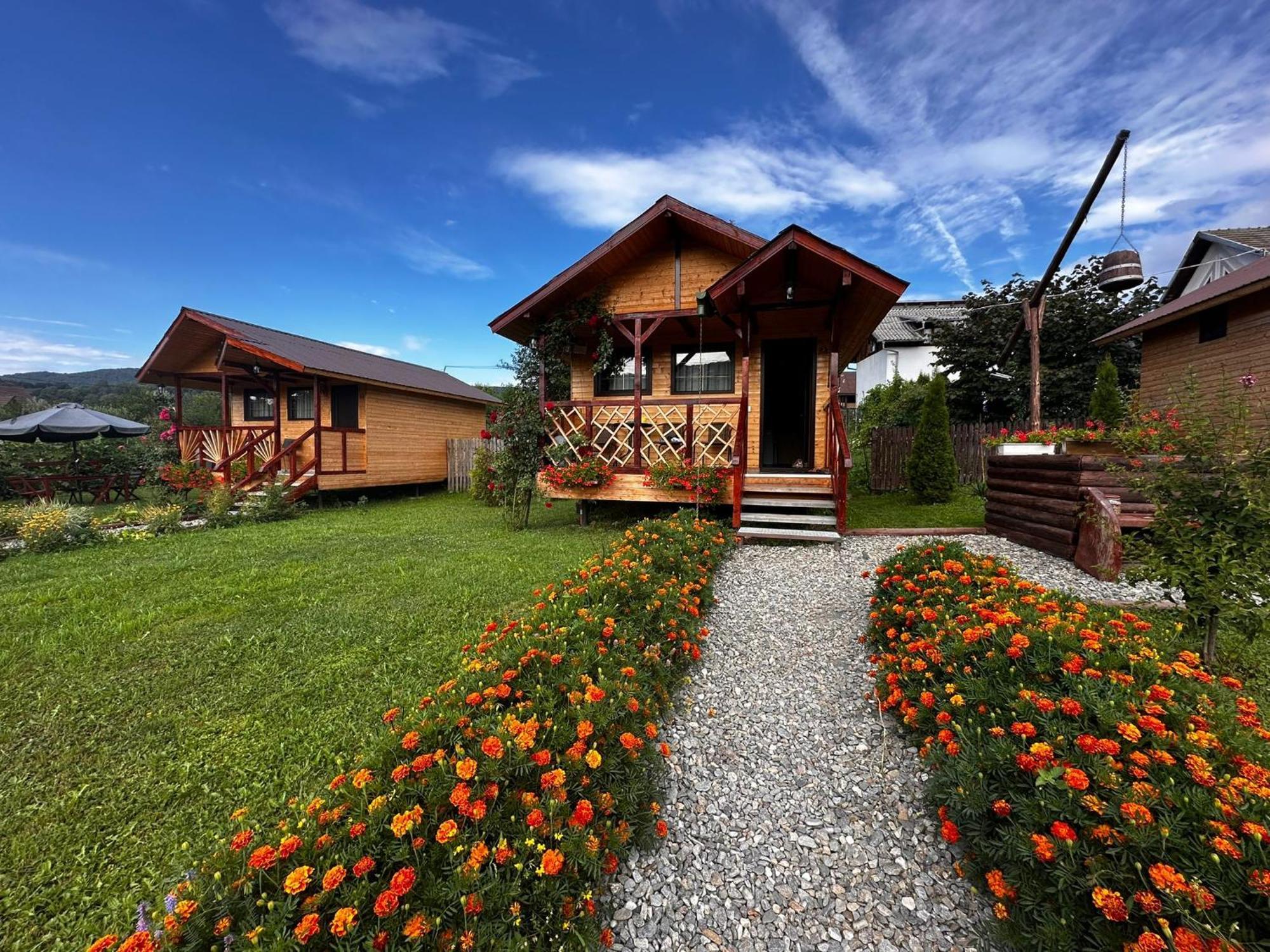 Villa Baltina Parc Transfagarasan Curtea de Argeş Exterior foto