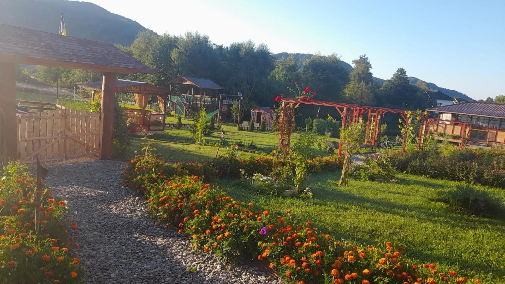 Villa Baltina Parc Transfagarasan Curtea de Argeş Exterior foto