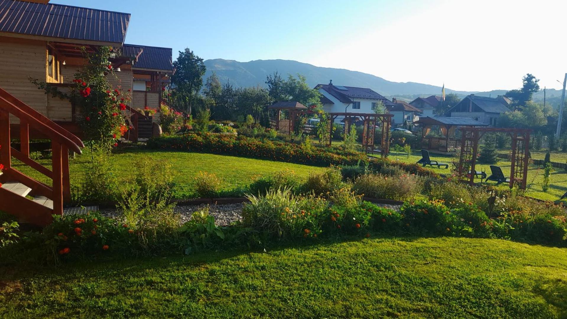 Villa Baltina Parc Transfagarasan Curtea de Argeş Exterior foto