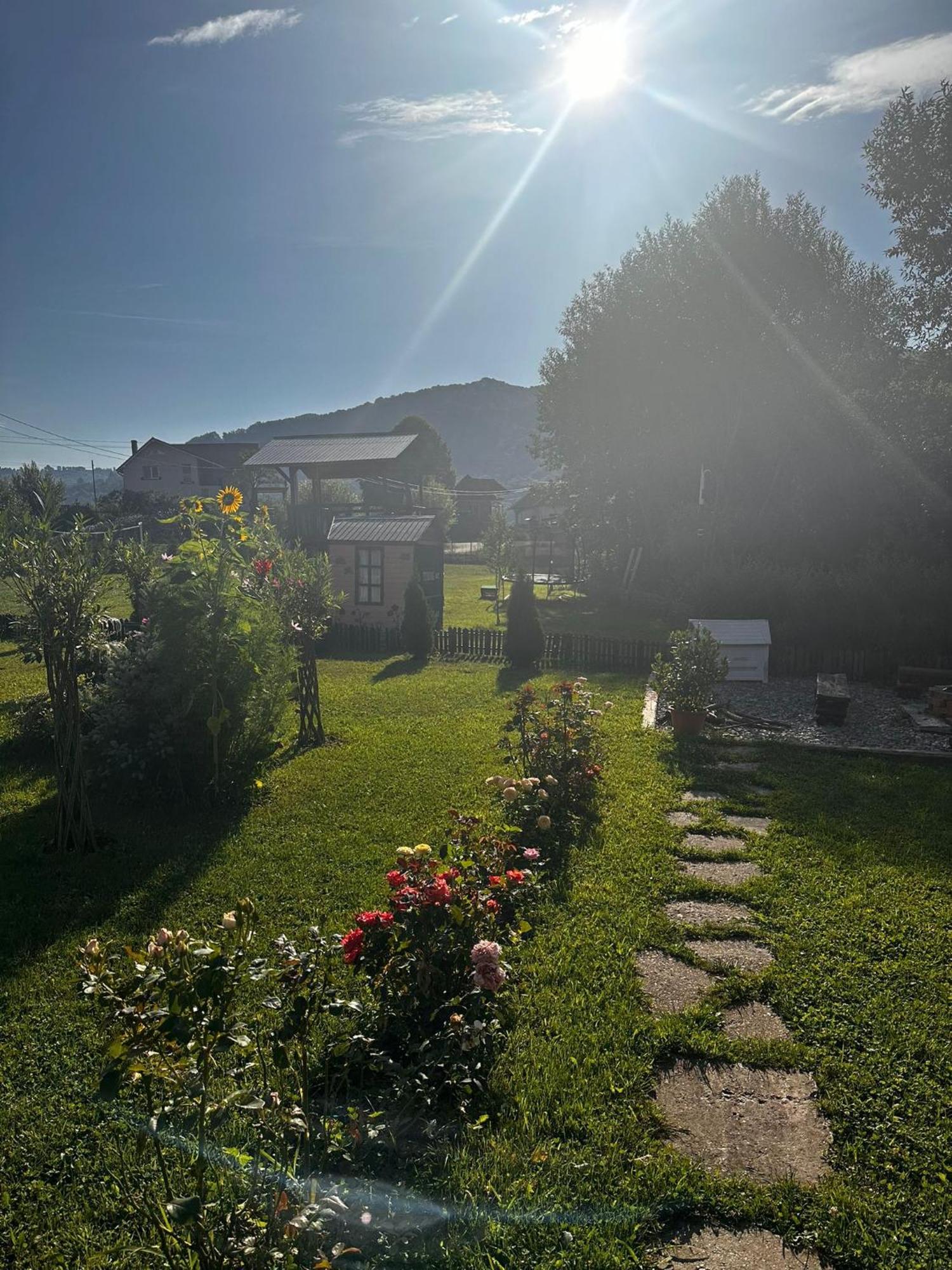 Villa Baltina Parc Transfagarasan Curtea de Argeş Exterior foto