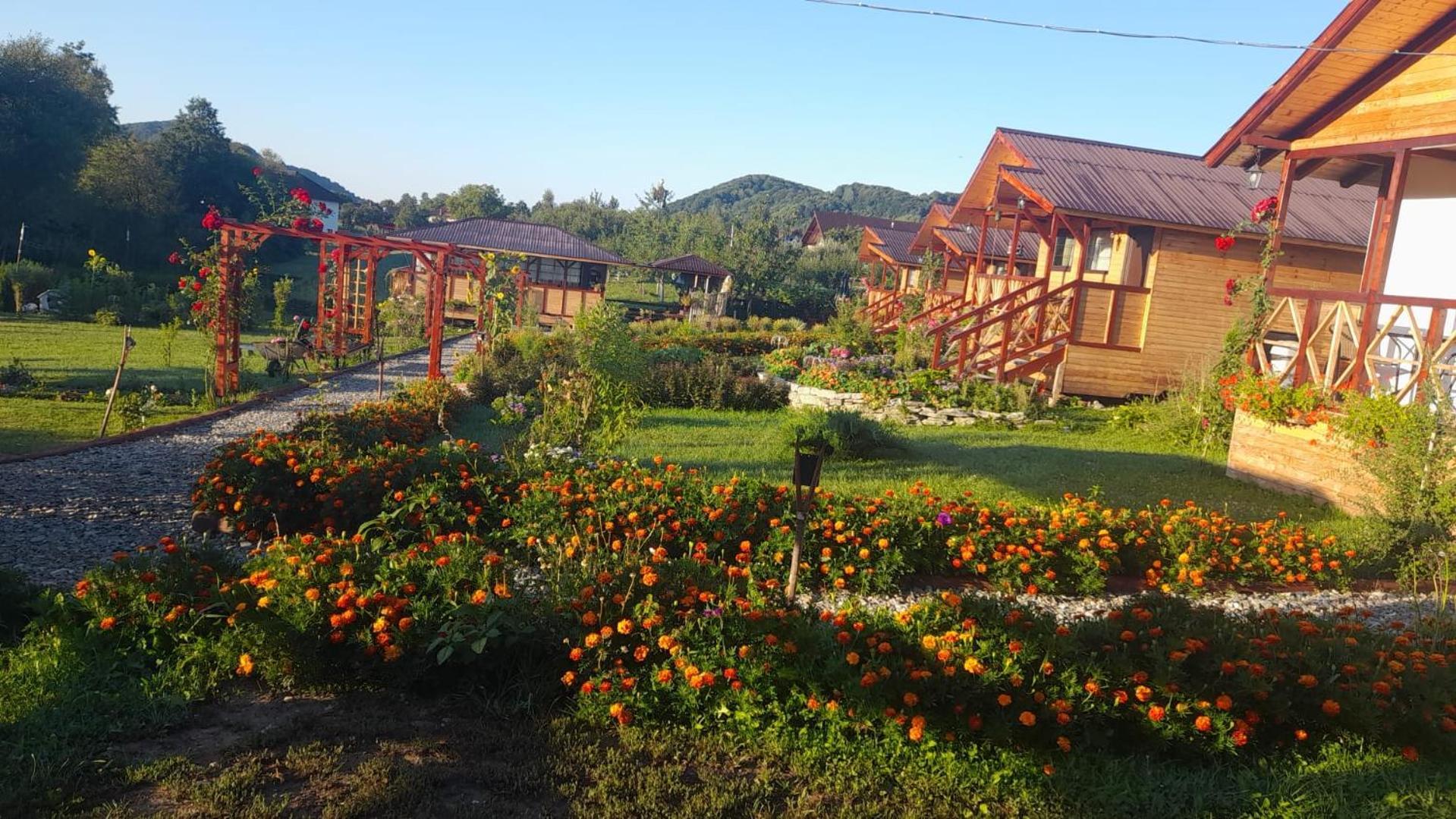 Villa Baltina Parc Transfagarasan Curtea de Argeş Exterior foto