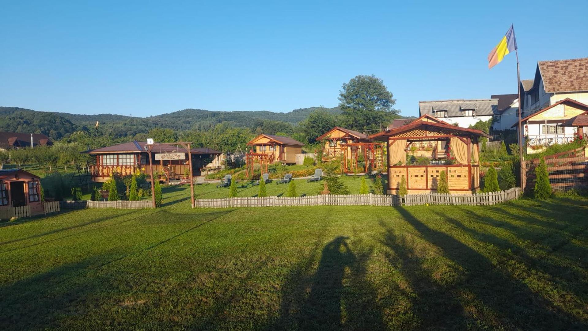 Villa Baltina Parc Transfagarasan Curtea de Argeş Exterior foto